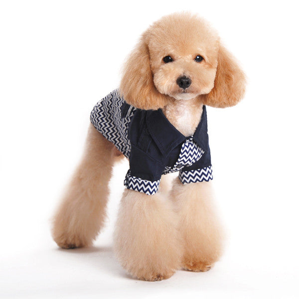 Dogo Chevron Dog Shirt
