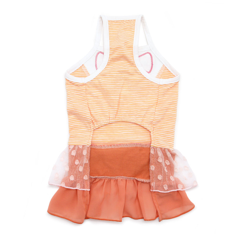 Sweet Citrus Dog Dress