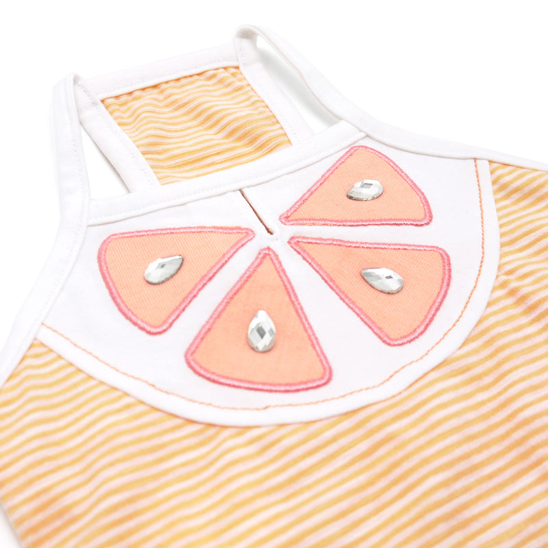 Sweet Citrus Dog Dress