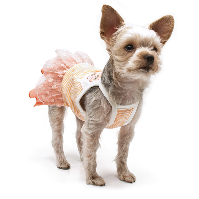Sweet Citrus Dog Dress