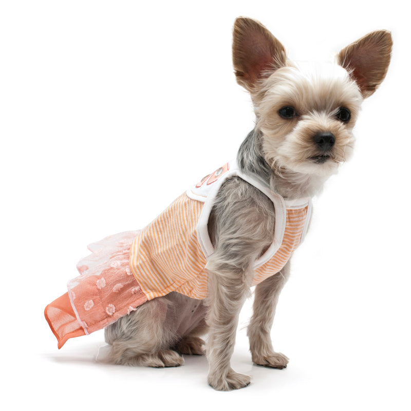 Sweet Citrus Dog Dress