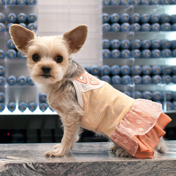 Sweet Citrus Dog Dress