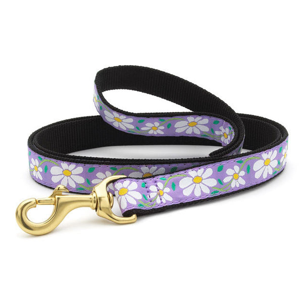 Up Country Daisy Dog Collar