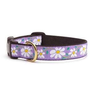 Up Country Daisy Dog Collar