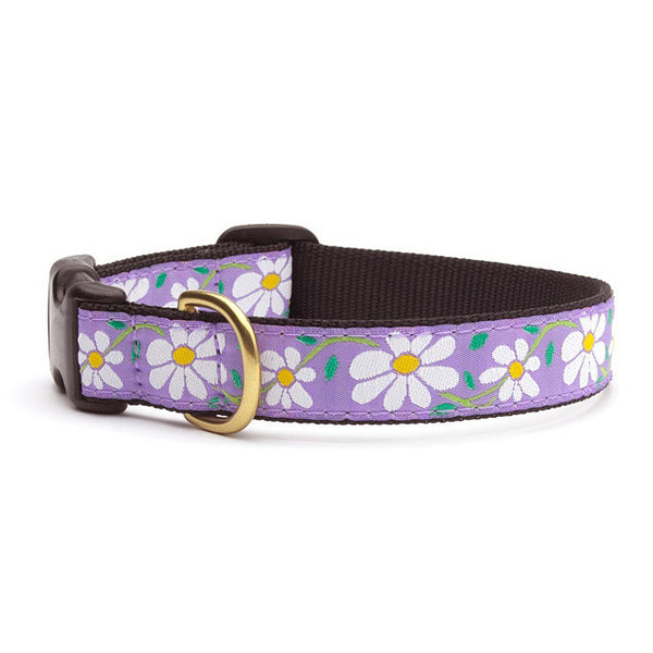 Up Country Daisy Dog Collar