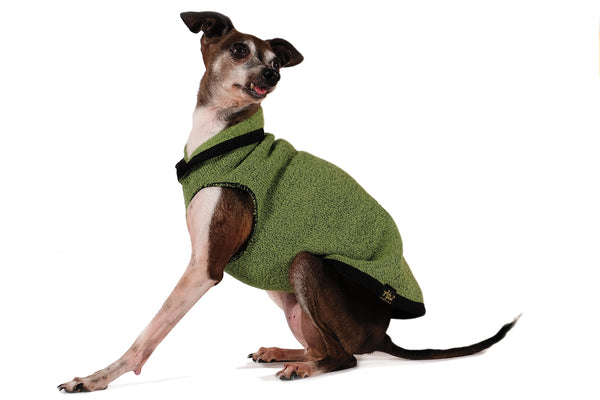 Eco Fleece Pullover Dog Sweater - Leaf Green