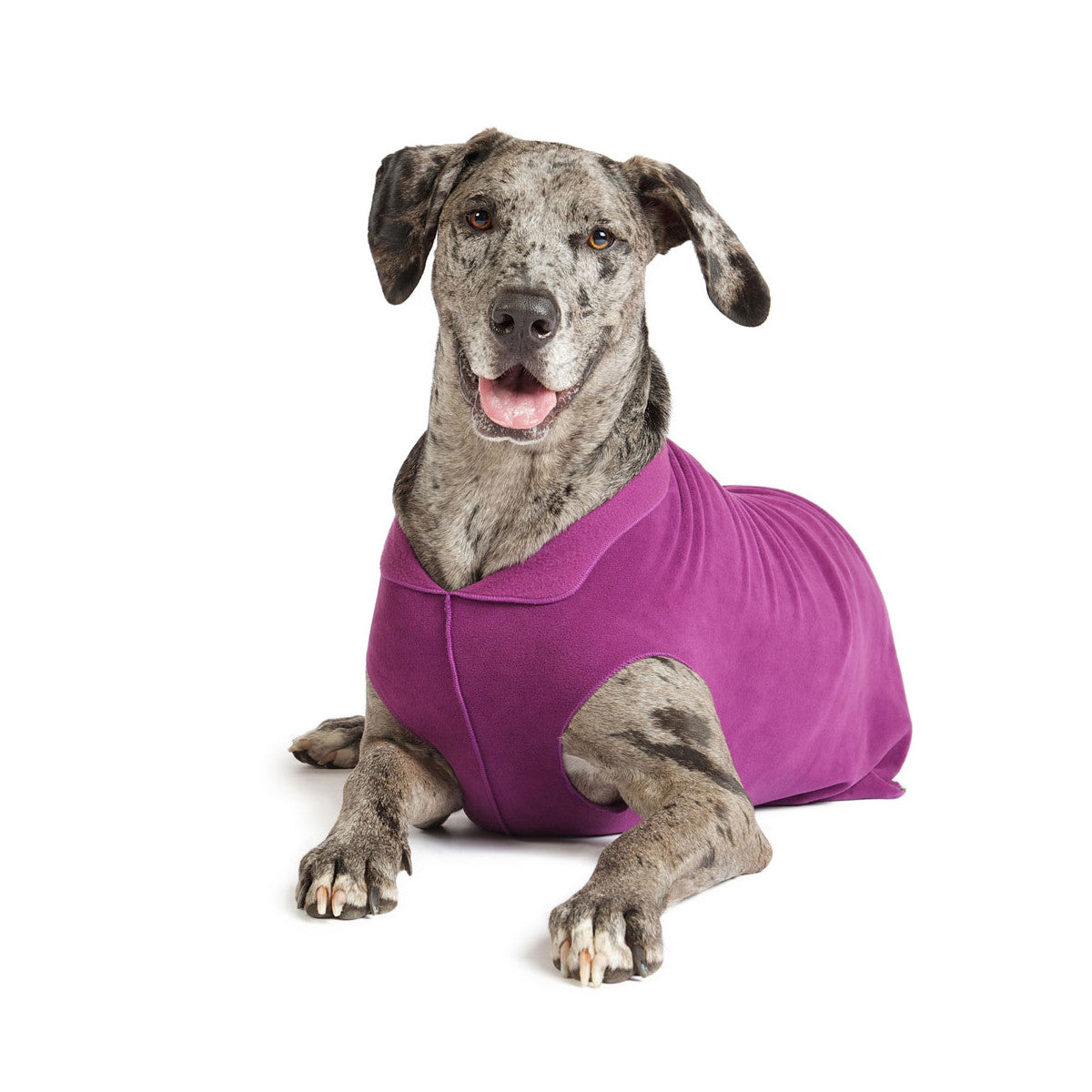Gold Paw Stretch Fleece Dog Coat - Eggplant