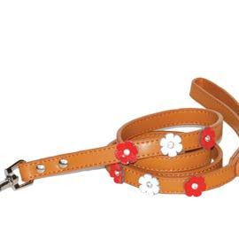 Dogo Flower Dog Collar - Brown