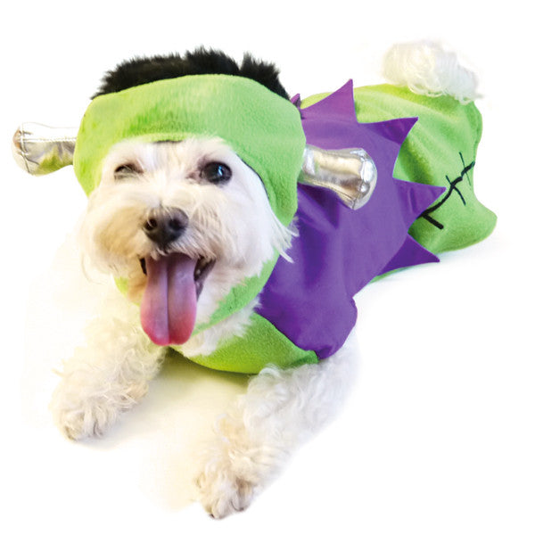 Frankenstein Dog Halloween Costume