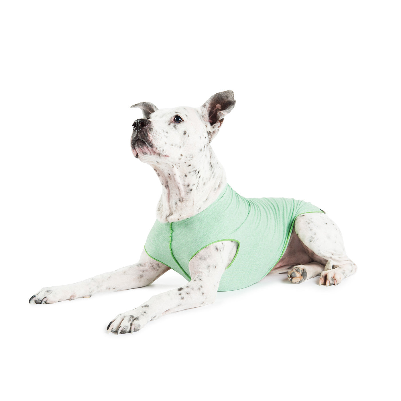 Gold Paw Sun Shield Dog Tee - Pistachio Heather