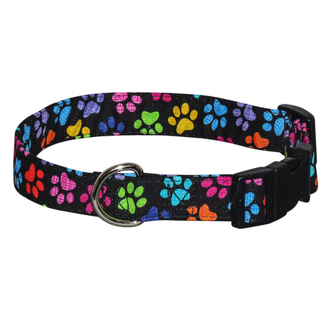 Elmo's Closet Hash Tag Paws Dog Collar