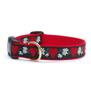 Up Country Hearts & Flowers Dog Collar