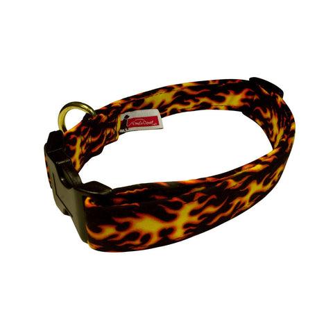 Elmo's Closet Hot Rod Dog Collar