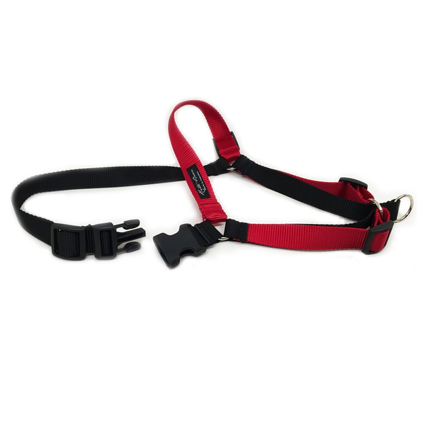 Rita Bean Forefront No-Pull Dog Harness - Red & Black