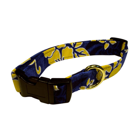 Elmo's Closet Kulina Dog Collar
