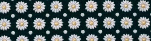 Elmo's Closet Dotted Daisies Dog Collar