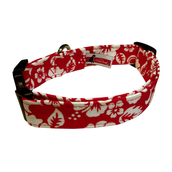 Elmo's Closet Lua Red Dog Collar - Medium (Outlet Sale Item)