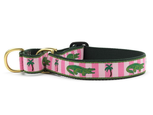Up Country Alligator Martingale Dog Collar
