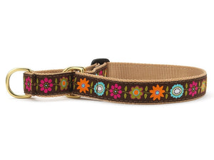 Up Country Bella Floral Martingale Dog Collar