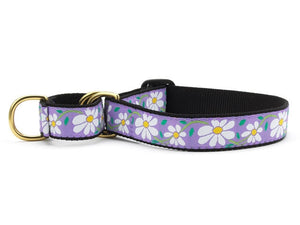 Up Country Daisy Martingale Dog Collar