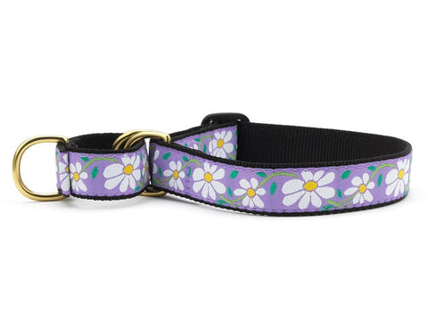 Pet Supplies : Red Dingo Designer Cat Collar, Daisy Chain Light Blue : Pet  Collars 