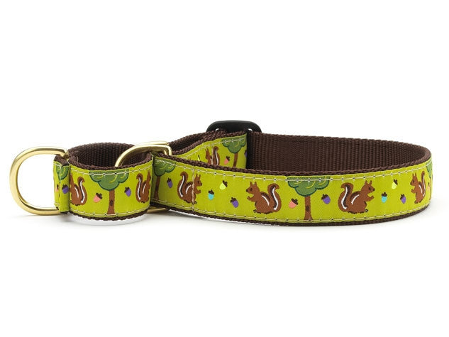 Up Country Nuts Martingale Dog Collar