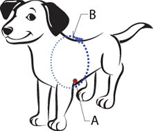 SENSE-ible No Pull Dog Harness - Black