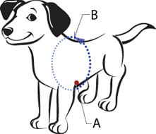 SENSE-ation Dog Harness - Blue