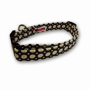 Elmo's Closet Dotted Daisies Dog Collar