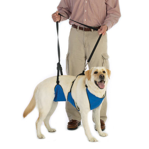 Lift & Lead Dog Mobility Harness