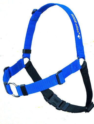 SENSE-ation Dog Harness - Blue