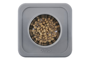 The Good Bowl Single Pet Feeder 16 oz - Charcoal