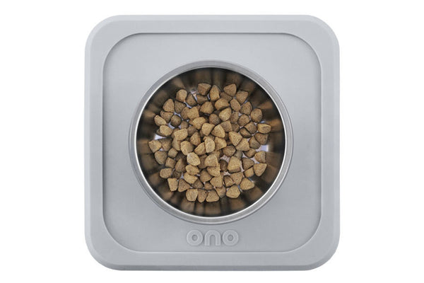 The Good Bowl Single Pet Feeder 16 oz - Cool Gray