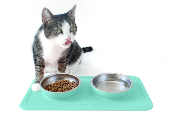 The Good Bowl Double Pet Feeder - Cool Gray