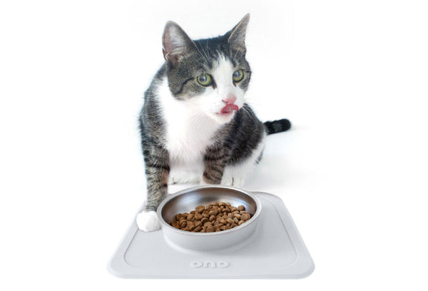 The Good Bowl Single Pet Feeder 16 oz - Cool Gray