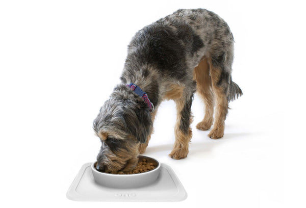 The Great Bowl Single Pet Feeder 32 oz - Cool Gray