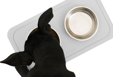 The Great Bowl Double Pet Feeder - Cool Grey