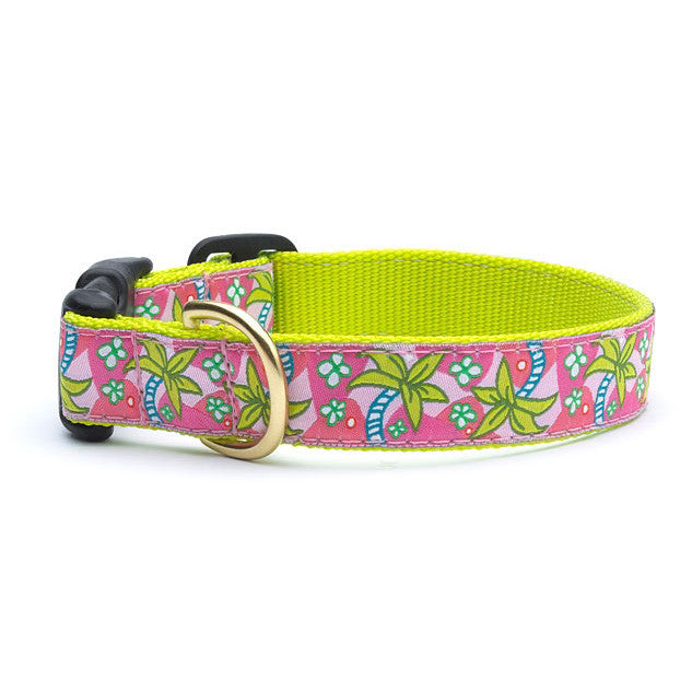 Up Country Pink Palms Dog Collar