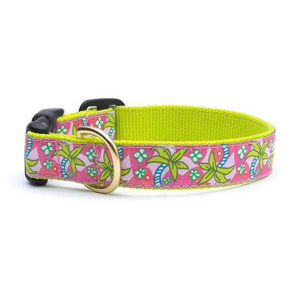 Up Country Pink Palms Dog Collar