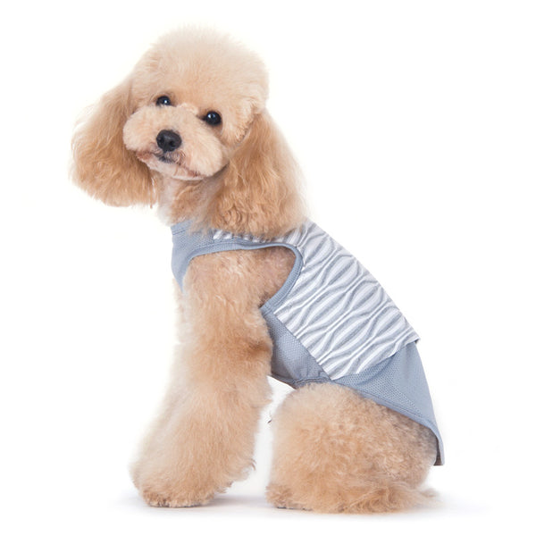 Geometric Dog Tank