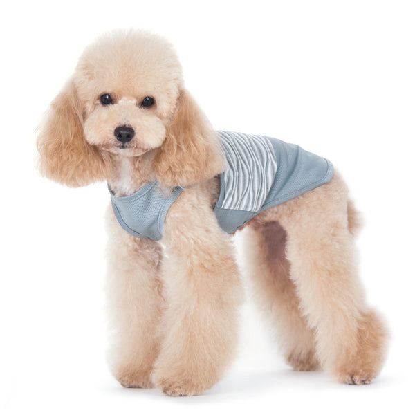 Geometric Dog Tank