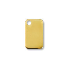 Red Dingo Brass Rectangle Shaped Dog ID Tag
