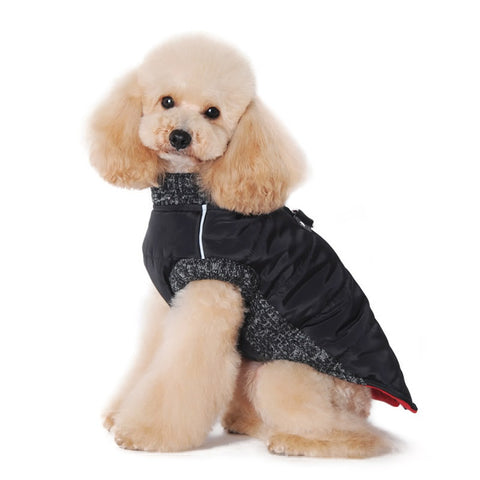 Runner Dog Coat - Black