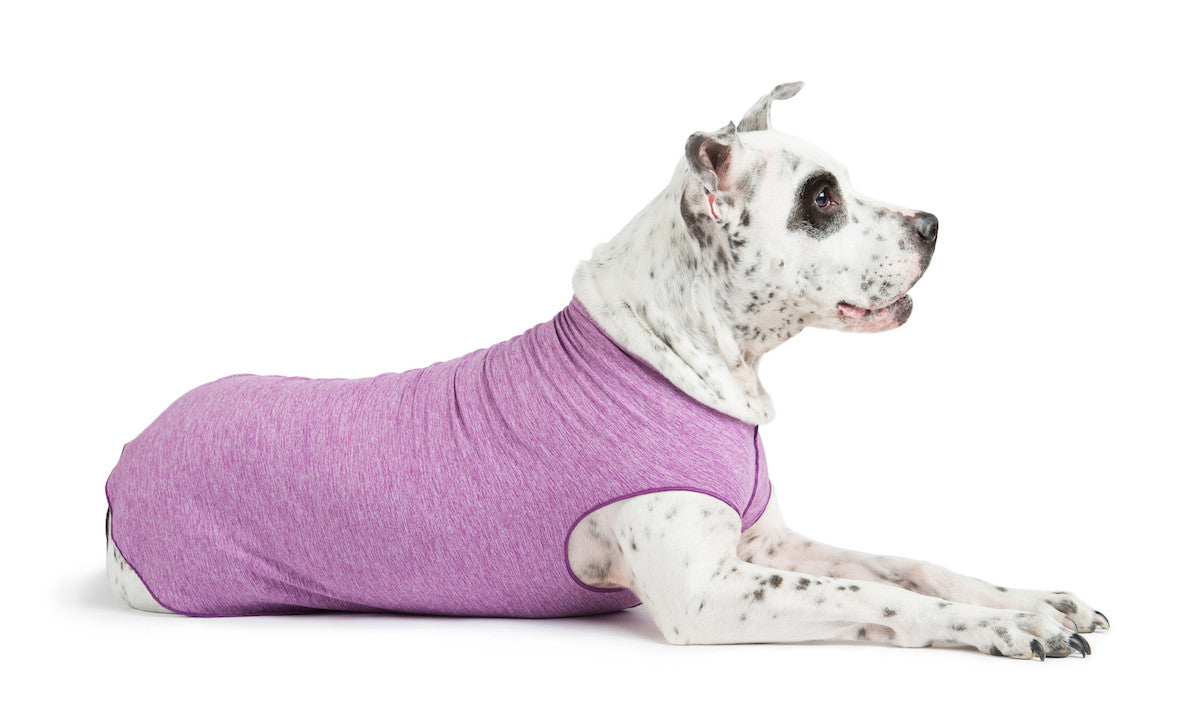 Sun Shield Dog Tee - Violet