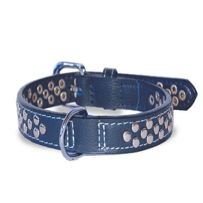 Dogo Stud Dog Collar - Blue