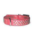 Dogo Stud Dog Collar - Red