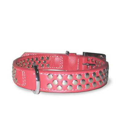 Dogo Stud Dog Collar - Red