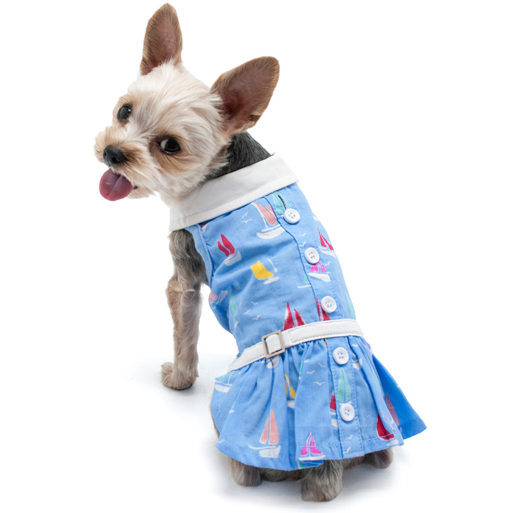 Summer Fun Dog Dress