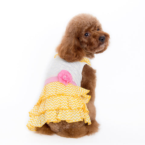 Dogo Sunshine Chevron Dog Dress