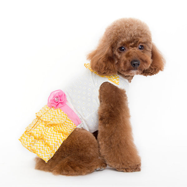 Dogo Sunshine Chevron Dog Dress